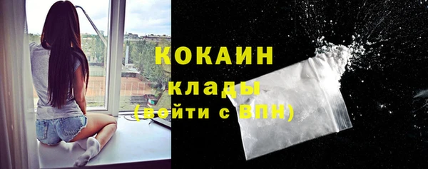 трава Аркадак