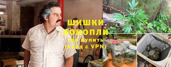 трава Аркадак