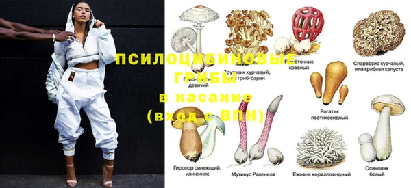 трава Аркадак